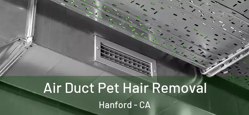  Air Duct Pet Hair Removal Hanford - CA