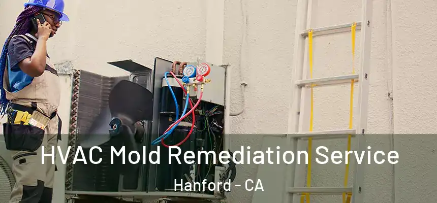 HVAC Mold Remediation Service Hanford - CA