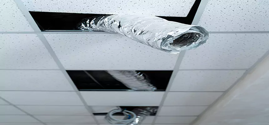 Our Air Duct Pet Hair Removal Services in Hanford, CA