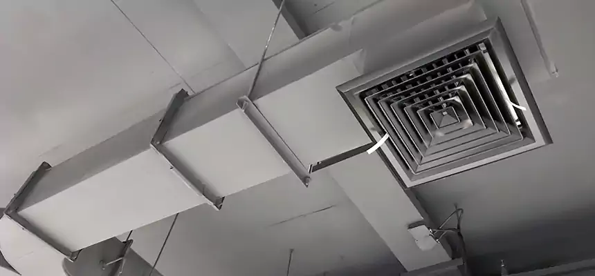 Restorative Allergy Relief Vent Cleaning – Coil, Blower & Housing Detail in Hanford