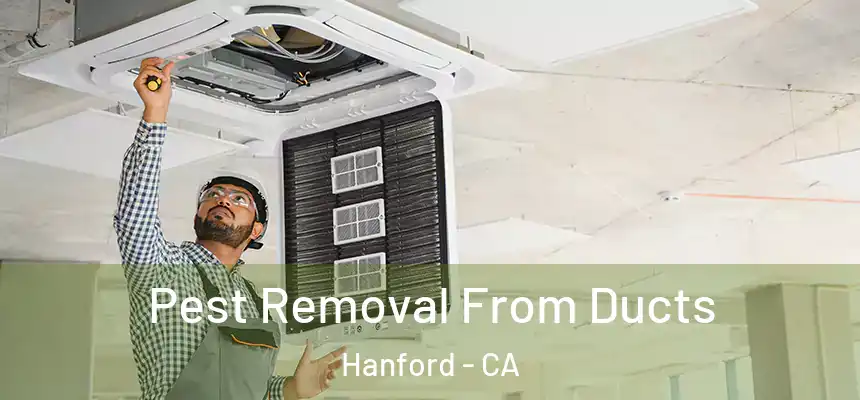  Pest Removal From Ducts Hanford - CA