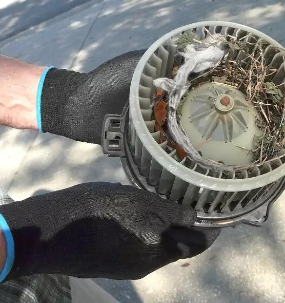 About Air Duct Mice Removal in Hanford, CA