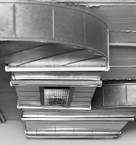 Professional Air Duct Pest Removal in Hanford, CA