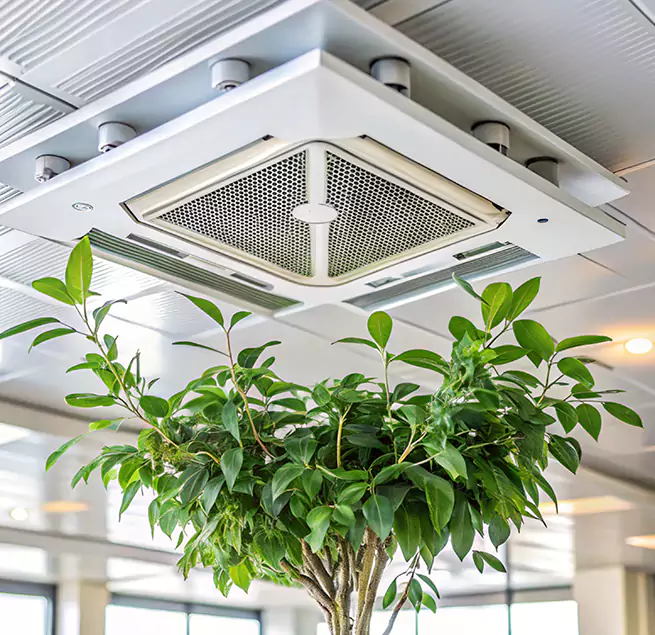 Why Homeowners & Businesses Trust Us in Hanford, CA